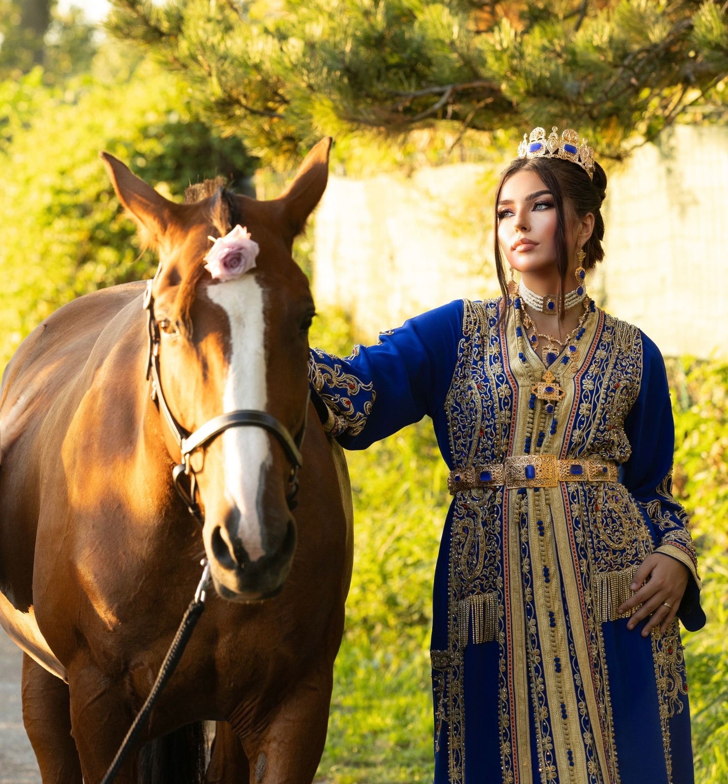 Tackchita Saphir Royal